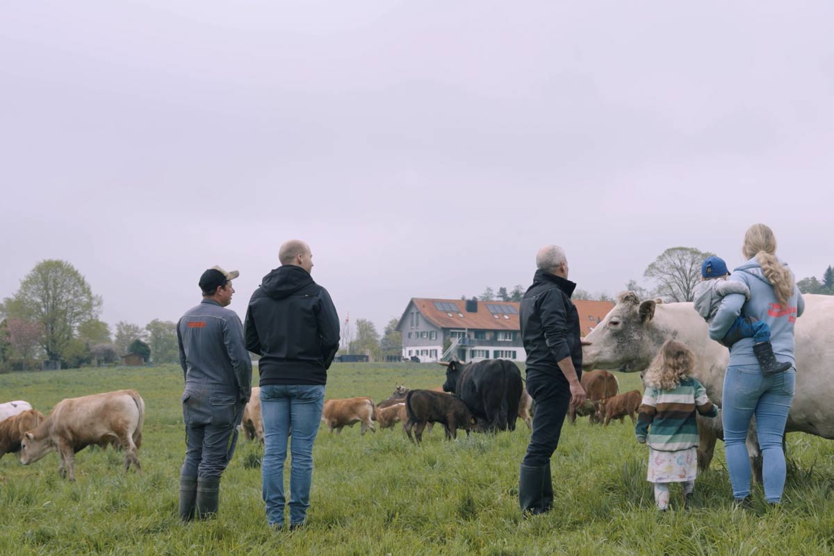Von der Weide in den Tiegel: Woher unser Rindertalg wirklich stammt.
